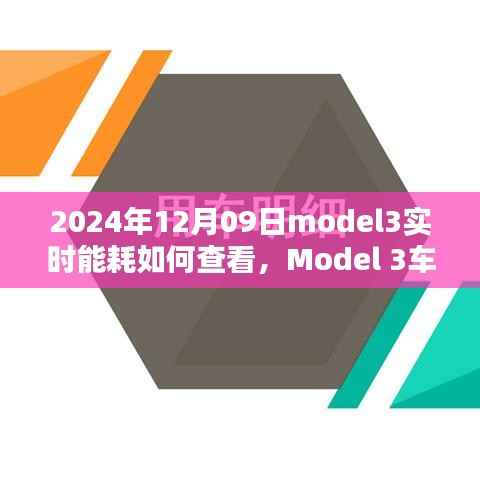 2024年12月09日Model 3实时能耗查看指南,车主必看