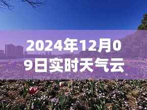昆明冬日暖阳下的温情故事与实时天气图片 2024年12月09日