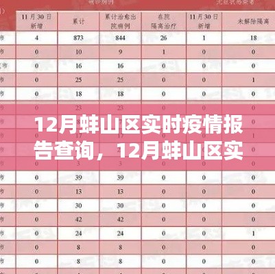 12月蚌山区实时疫情报告查询系统详解与评测