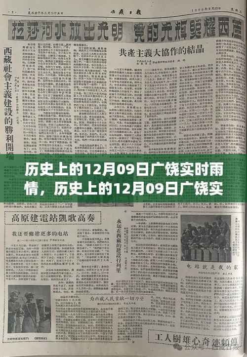 历史上的广饶雨情深度解读,多方视角与我的观点分享