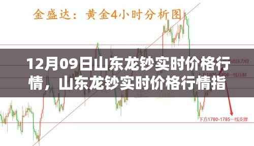 山东龙钞实时价格行情解析,最新数据获取与分析指南(12月09日)