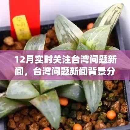 聚焦台湾问题新闻,十二月实时动态与深层影响分析