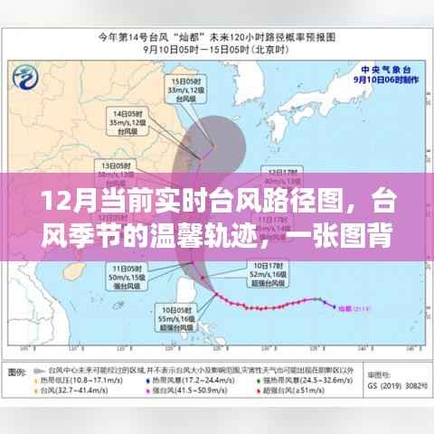 台风季节的温馨轨迹,揭秘实时台风路径图背后的故事