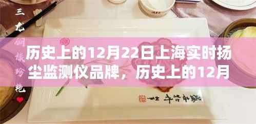 上海扬尘监测仪品牌详解,选购、使用与维护指南——历史上的12月22日实时扬尘监测仪品牌介绍