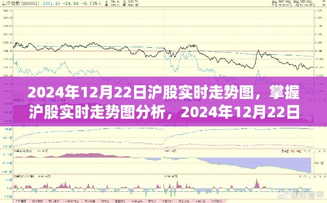 2024年12月22日沪股实时走势图解析及股市行情跟踪全攻略（适合初学者与进阶用户）