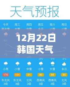 韩国冬日风情探秘,小巷深处的特色小店与天气预报实时体验之旅