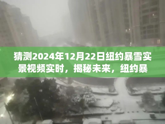 揭秘未来,纽约暴雪日——2024年纽约暴雪实景视频展望与揭秘