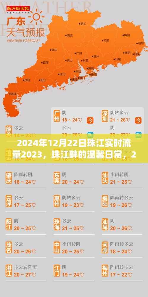 珠江畔的温馨日常与流水见证的友情盛事（2024年12月22日）