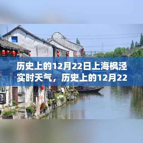 探寻上海枫泾自然美景之旅，历史上的12月22日实时天气与内心宁静的追寻