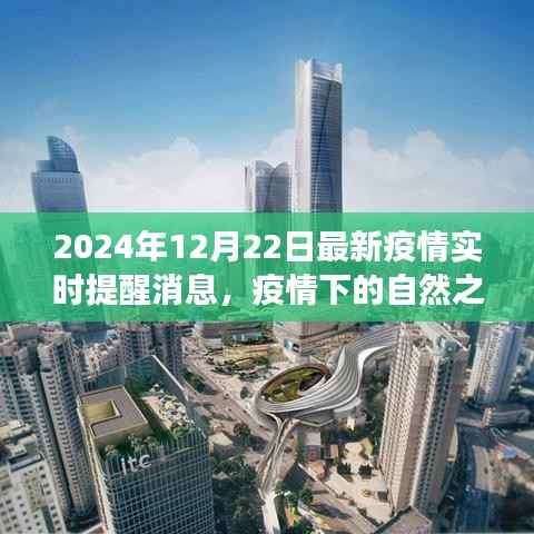 疫情下的自然探索,美景之旅与内心宁静的追寻(实时更新至2024年12月22日)