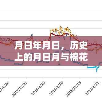 历史月日月与棉花期货实时价格走势