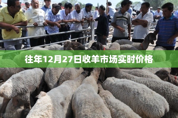 企业优势 第317页