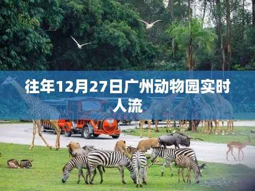 广州动物园往年年末人流实况
