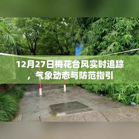 梅花台风实时追踪,气象动态及防范指引