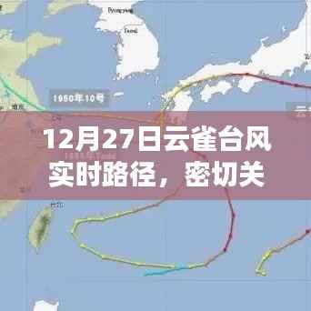 台风云雀实时路径更新,关注安全,防御风险