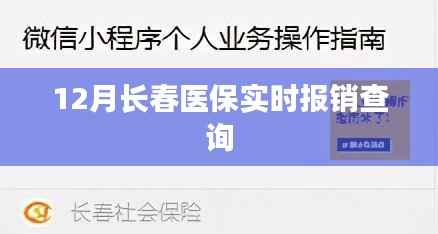 长春医保实时报销查询指南