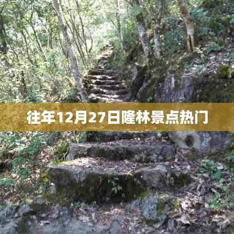 隆林景点热门游玩攻略,历年12月27日盘点