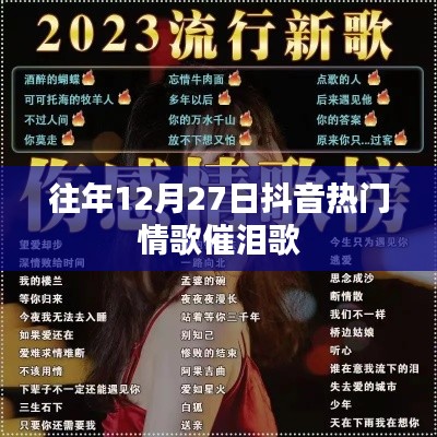 抖音情歌回顾,催泪热门歌曲盘点往年篇