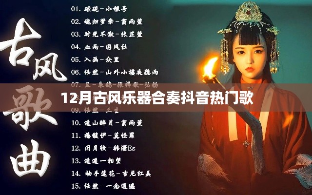 抖音热门古风乐器合奏,12月古风音乐盛宴