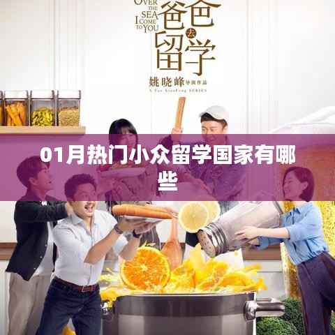 热门小众留学国家一月盘点