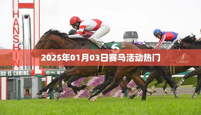 赛马盛宴倒计时,2025年元旦赛马活动前瞻