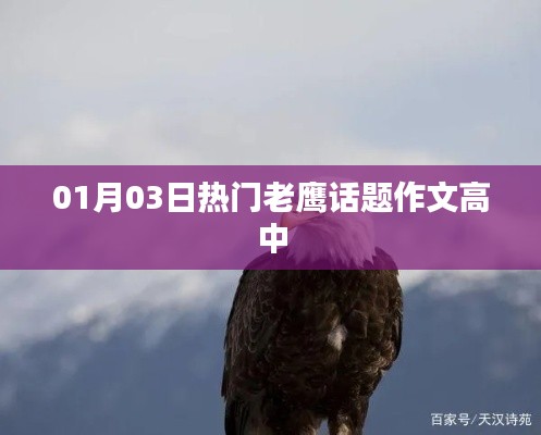 热门老鹰话题作文,高中生的视角与感悟