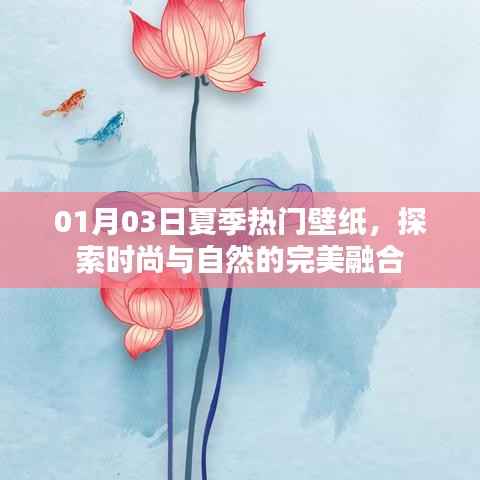夏季时尚与自然壁纸探索,热门壁纸大放送