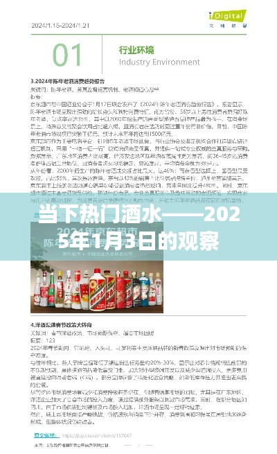 当下热门酒水市场趋势观察报告