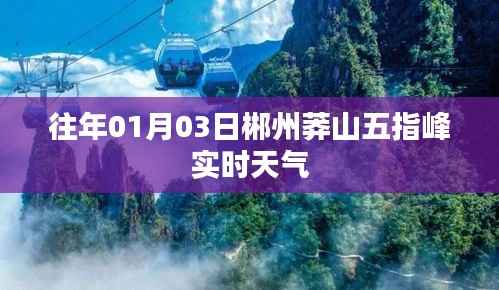 郴州莽山五指峰实时天气(往年1月3日)