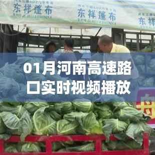 河南高速路口实时交通景象直播,繁忙交通一览无余