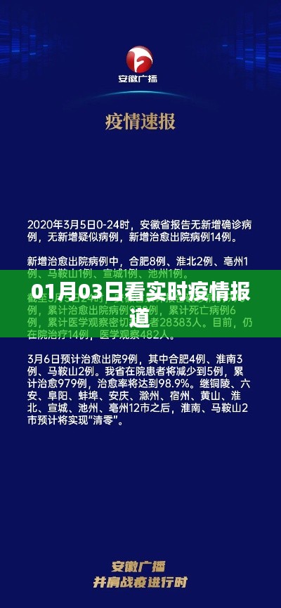 实时疫情报道更新,最新动态关注