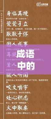 成语中的学习与成长智慧,不断进步,塑造卓越人生