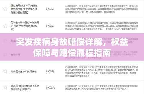 突发疾病身故赔偿详解,权益保障与赔偿流程指南