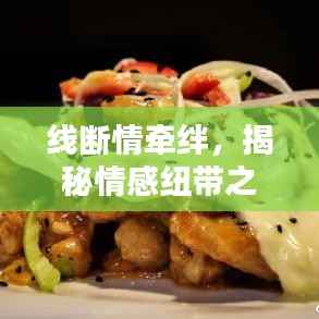 竭尽全力 第2页