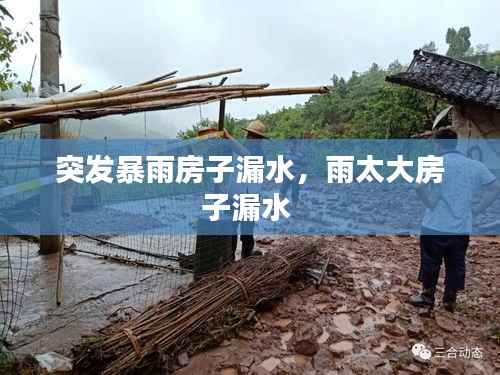 突发暴雨房子漏水,雨太大房子漏水