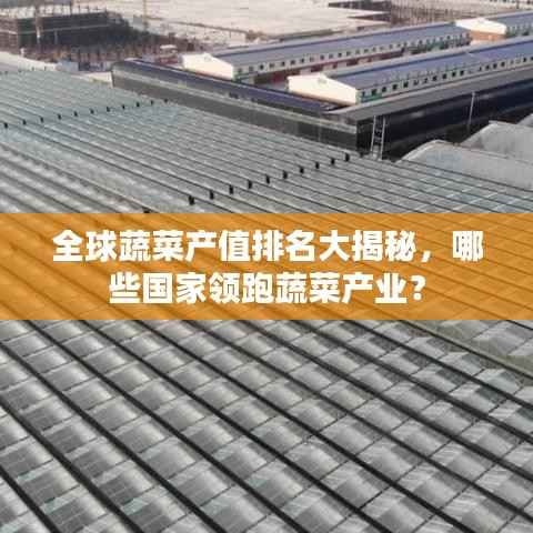 全球蔬菜产值排名大揭秘,哪些国家领跑蔬菜产业?