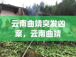 云南曲靖突发凶案,云南曲靖特大刑事案件