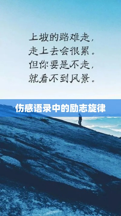 伤感语录中的励志旋律