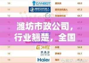 潍坊市政公司,行业翘楚,全国排名领先