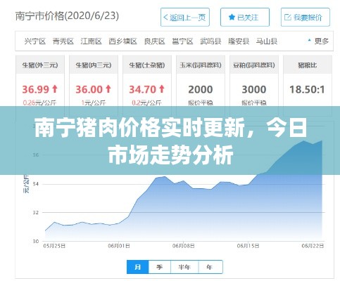 南宁猪肉价格实时更新,今日市场走势分析