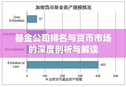 基金公司排名与货币市场的深度剖析与解读