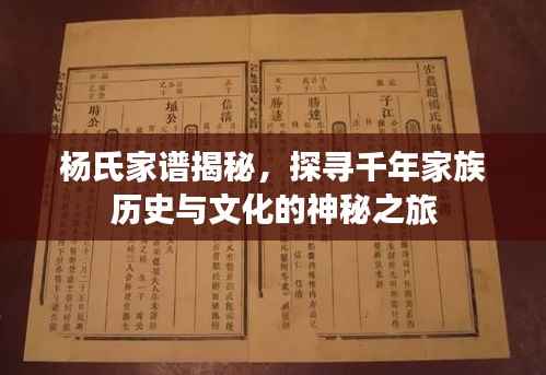 杨氏家谱揭秘,探寻千年家族历史与文化的神秘之旅