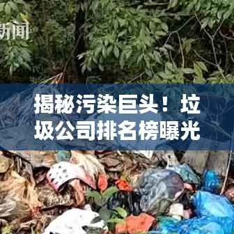 揭秘污染巨头!垃圾公司排名榜曝光产业背后的秘密