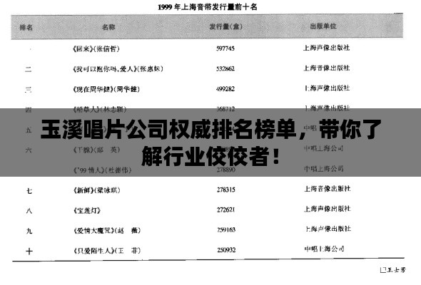 玉溪唱片公司权威排名榜单,带你了解行业佼佼者!