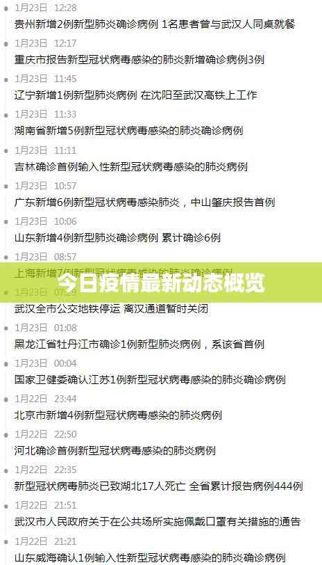 今日疫情最新动态概览