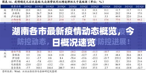 湖南各市最新疫情动态概览,今日概况速览