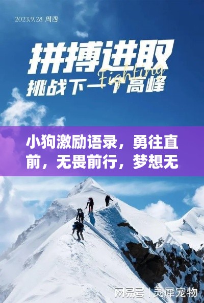 小狗激励语录,勇往直前,无畏前行,梦想无界限