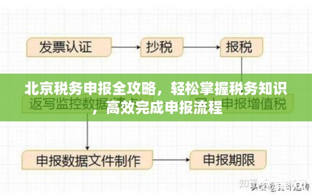 北京税务申报全攻略,轻松掌握税务知识,高效完成申报流程