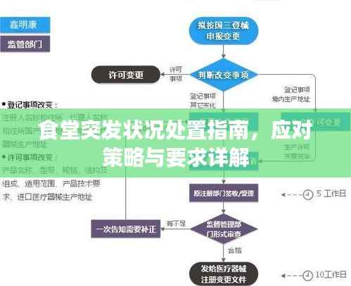 食堂突发状况处置指南,应对策略与要求详解