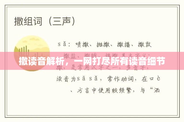 撒读音解析,一网打尽所有读音细节